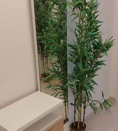 Apartment Selene